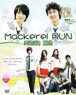 Mackerel Run